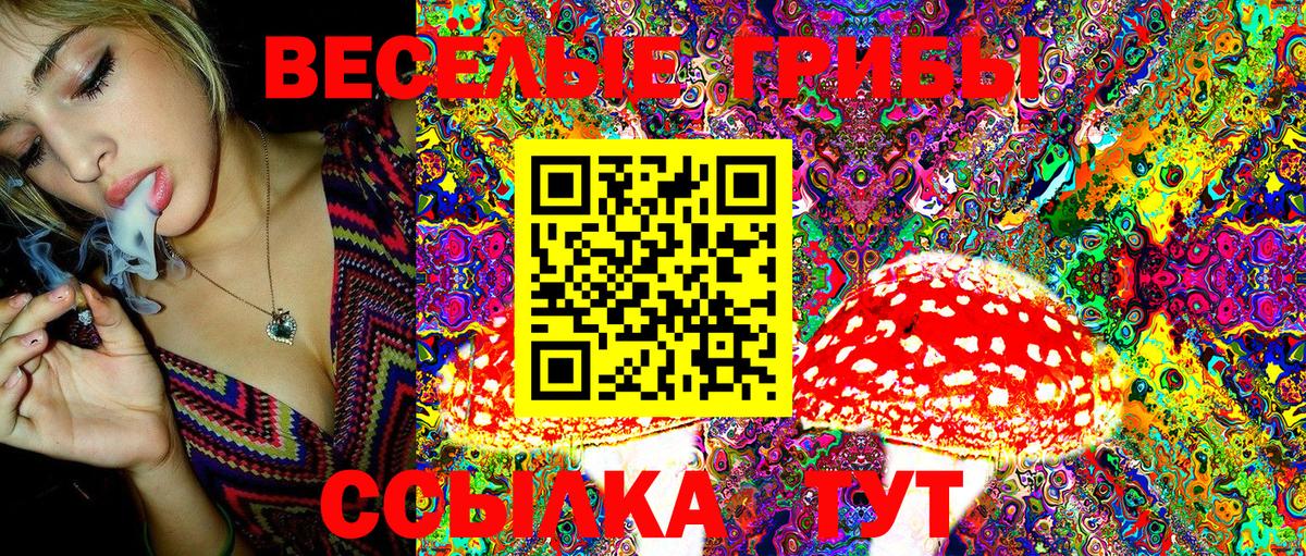Армавир  Псилоцибиновые грибы Psilocybine cubensis  Галлюциногенные грибы мицелий  Вход с VPN 