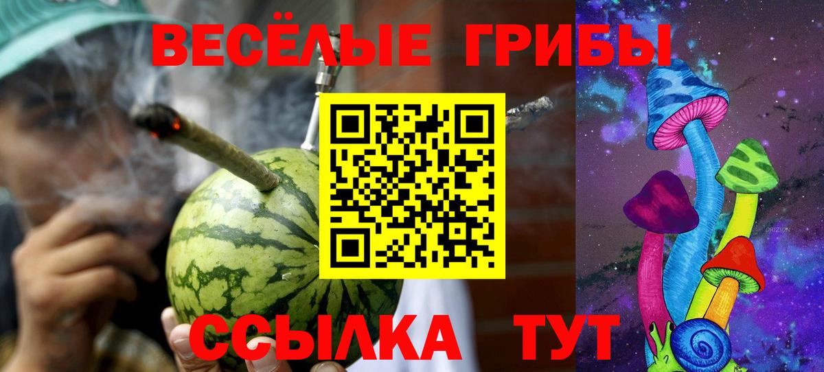 Псилоцибиновые грибы Psilocybine cubensis Армавир